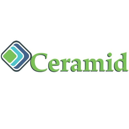 Esimerkki tekemästämme projektista Ceramidille
